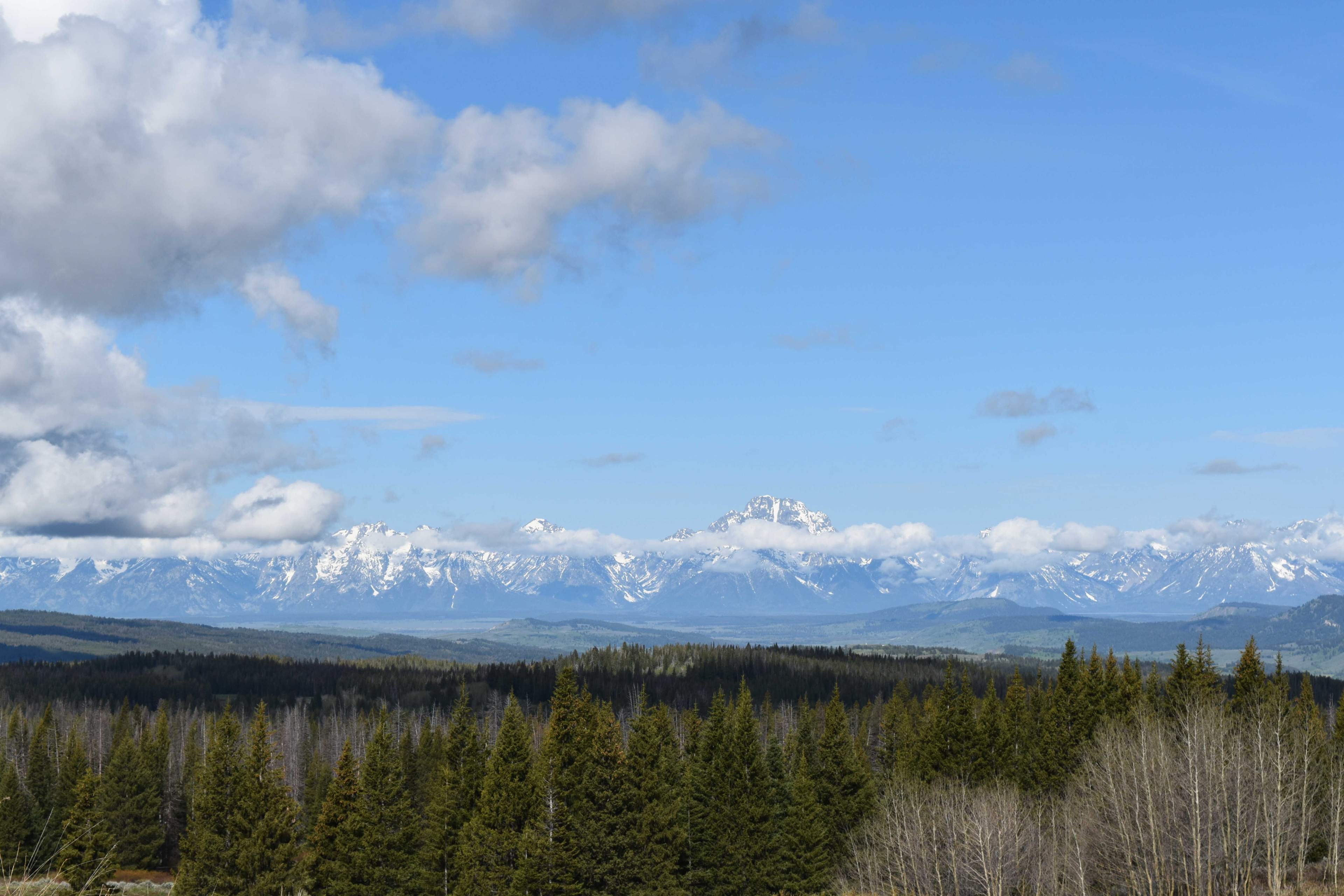 grand tetons