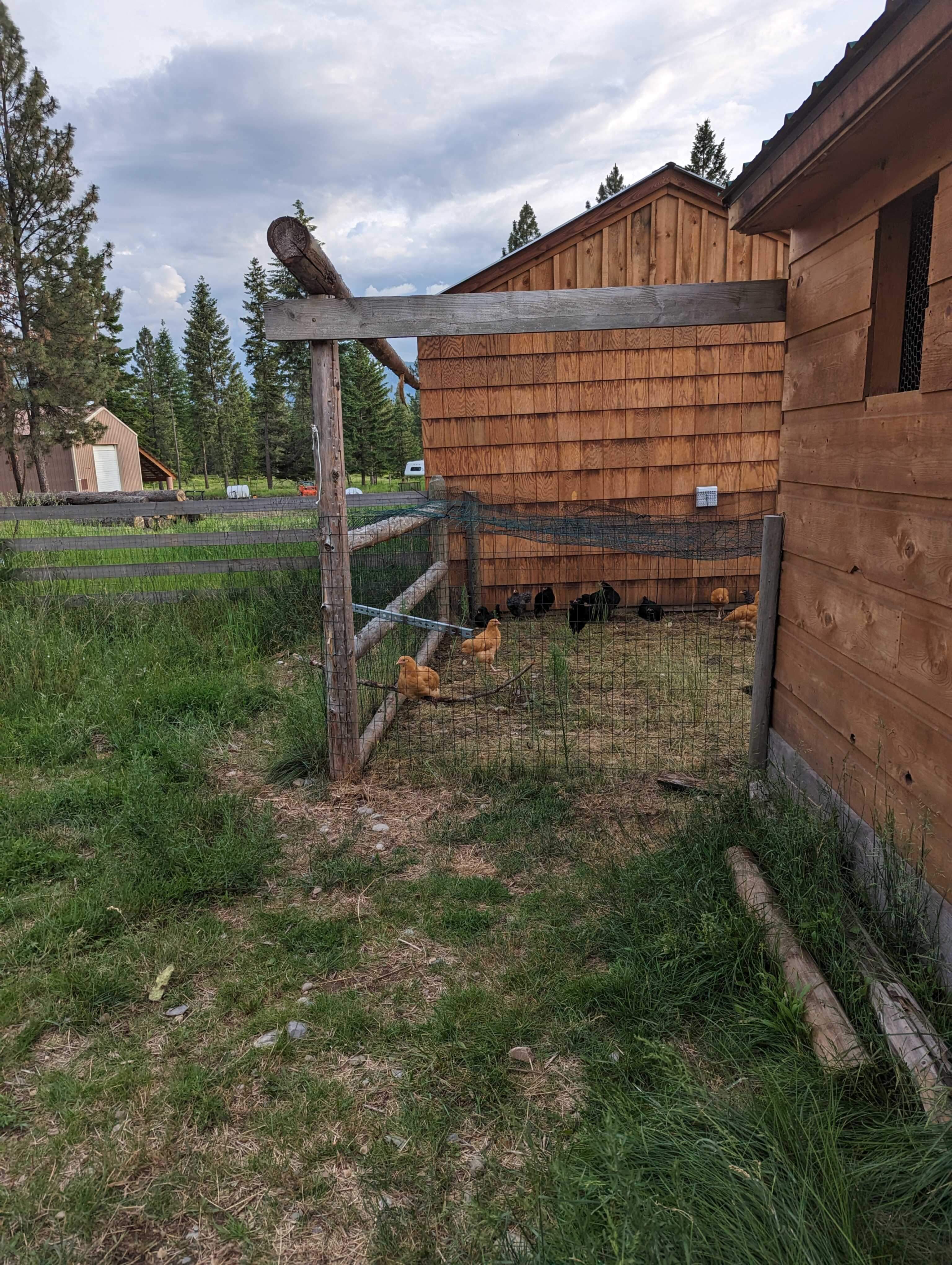 chicken coop