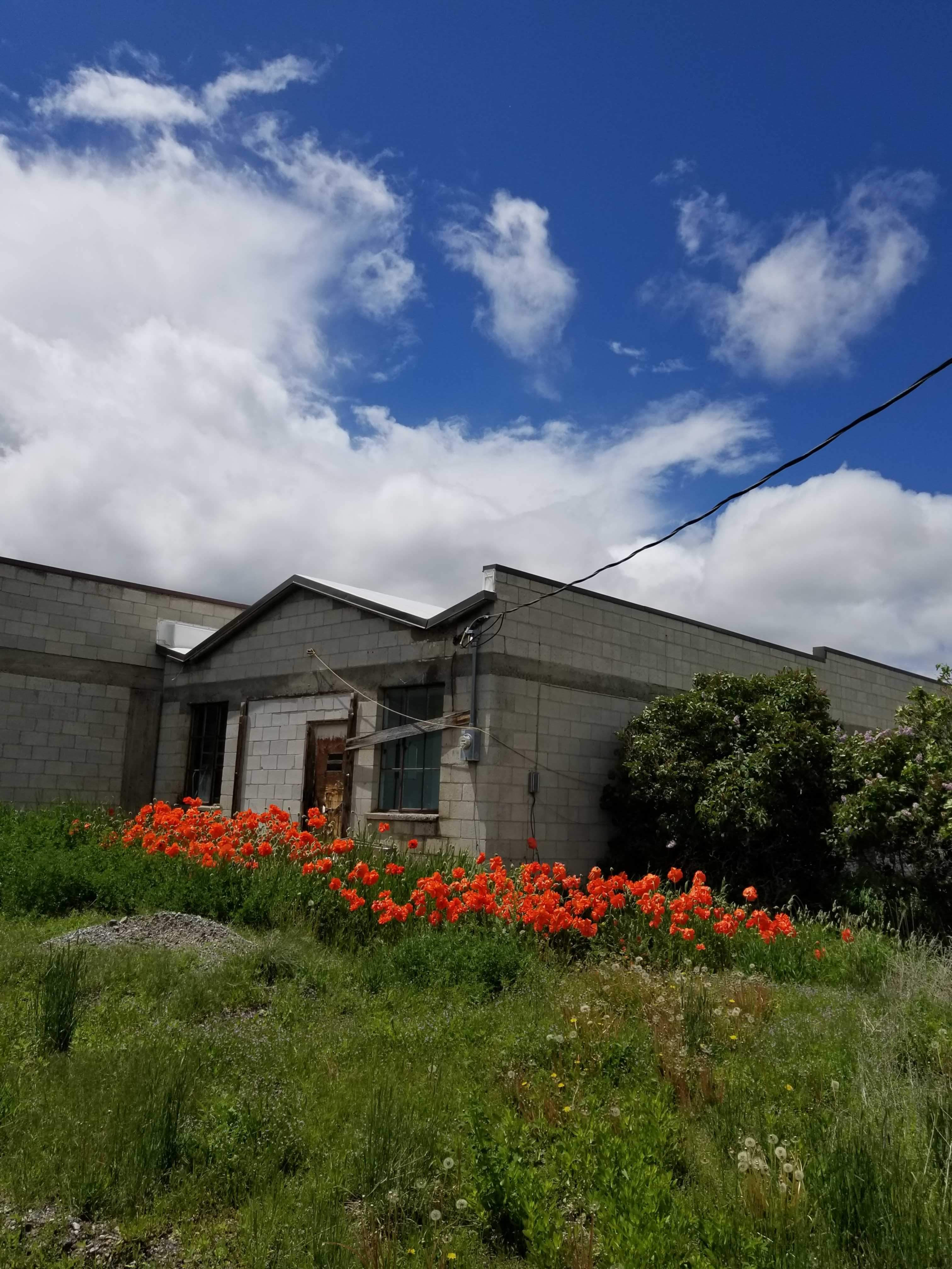 abandoned house