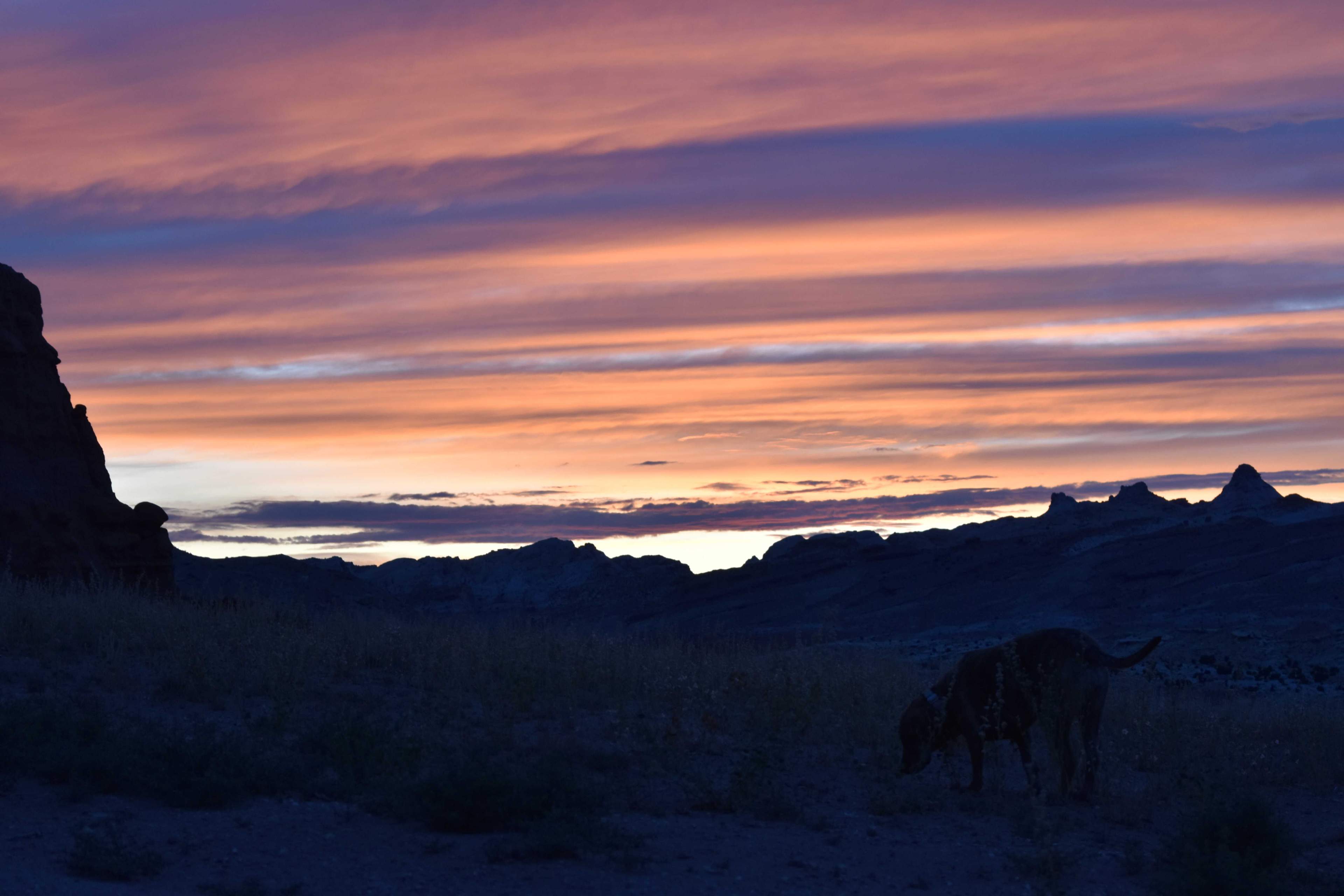 junie desert sunset