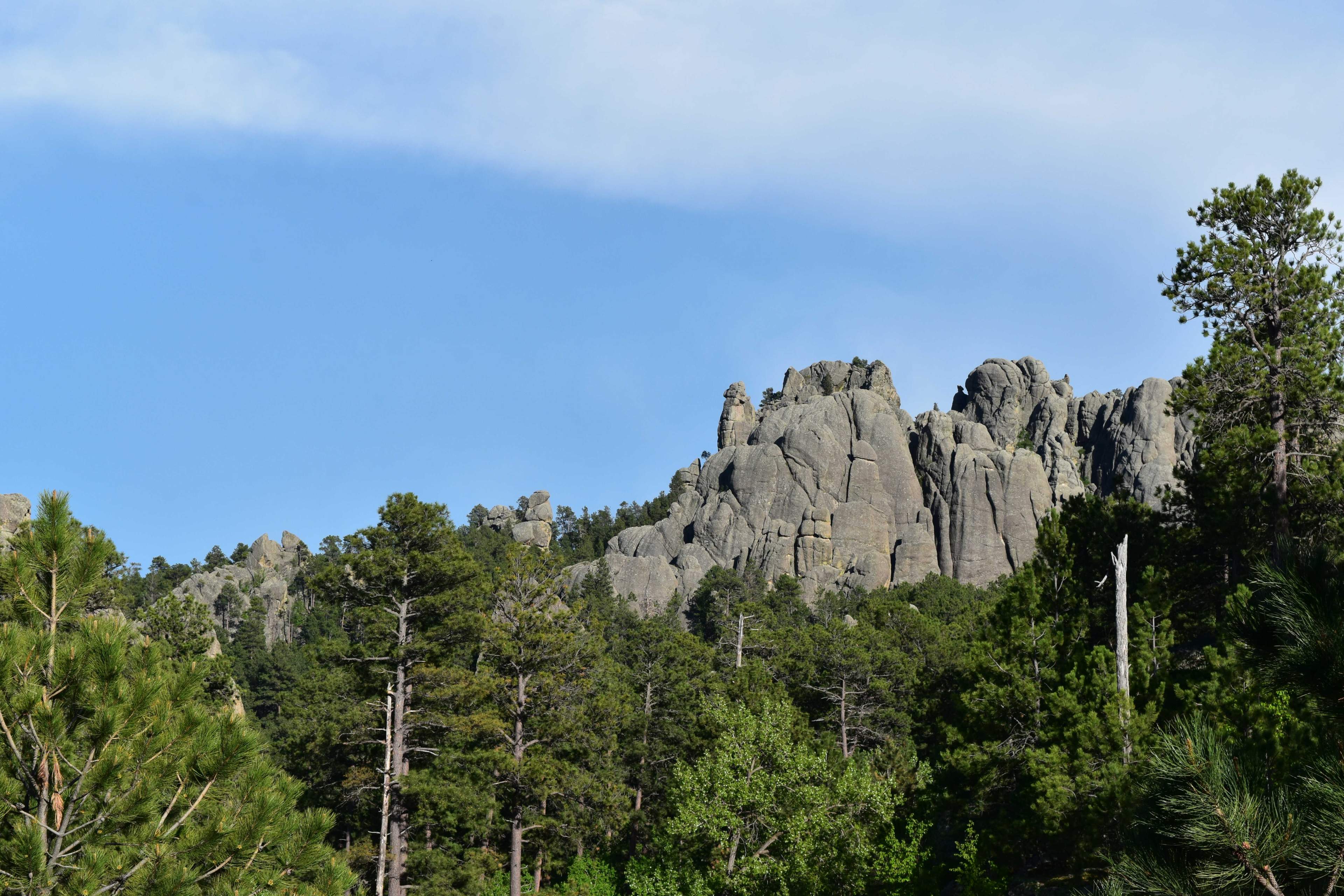 black hills landscape