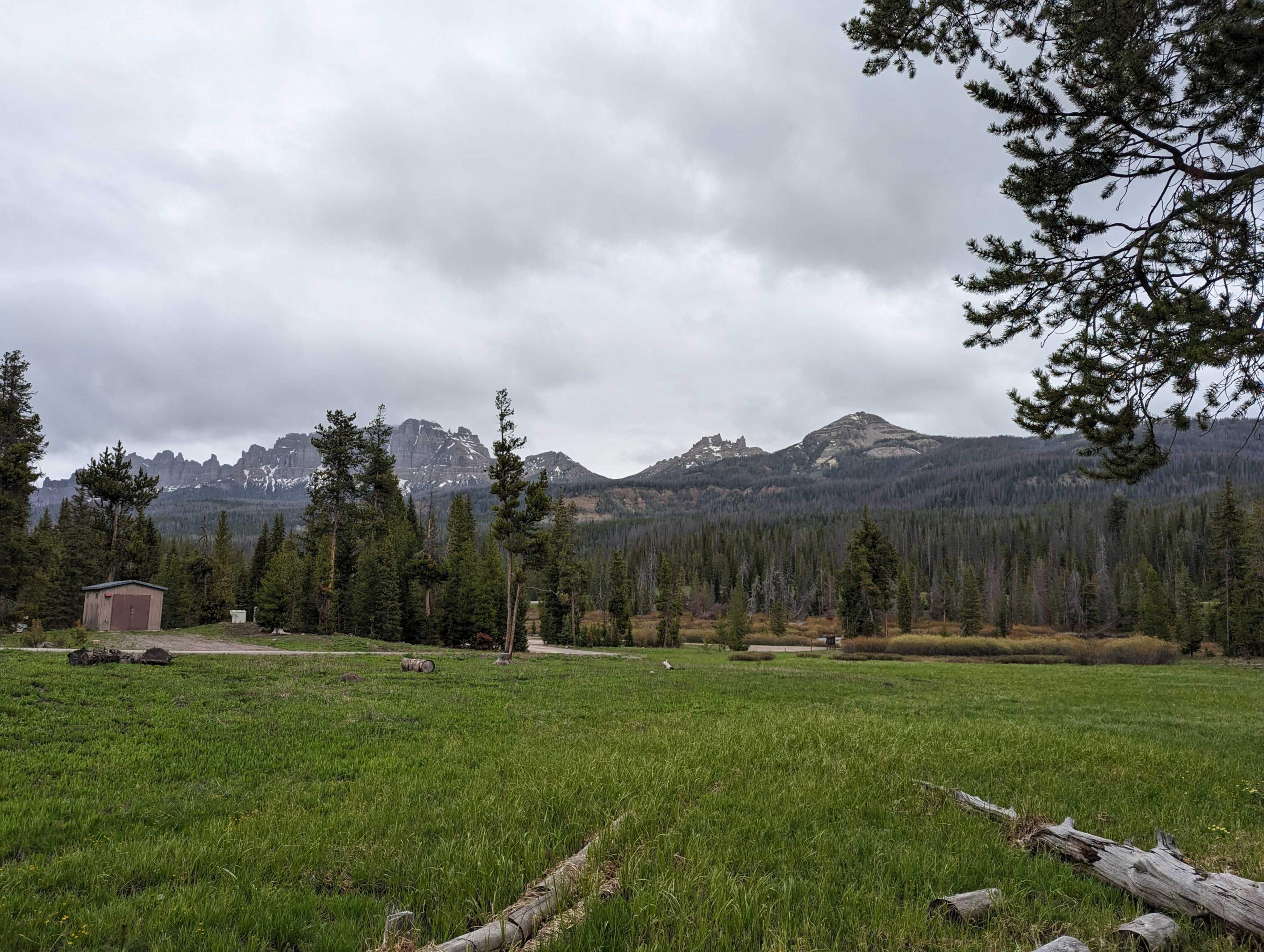 tetons and meadow